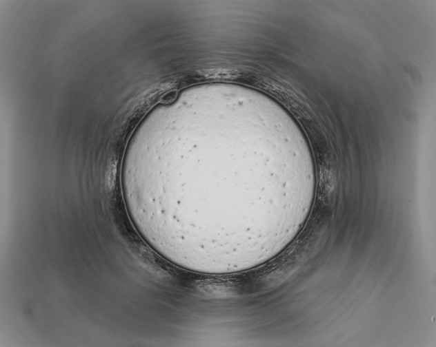 X0000112780652200909101613