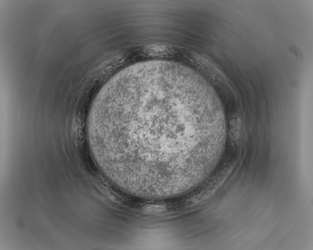 X0000112780653200909101613