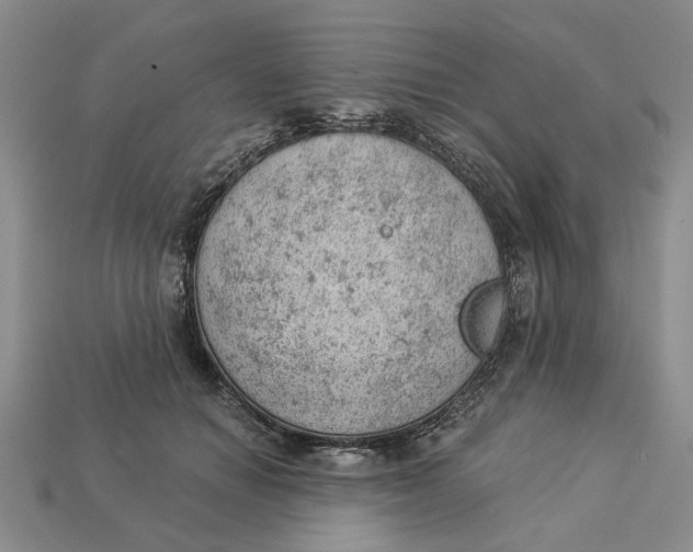 X0000112780654200909101613