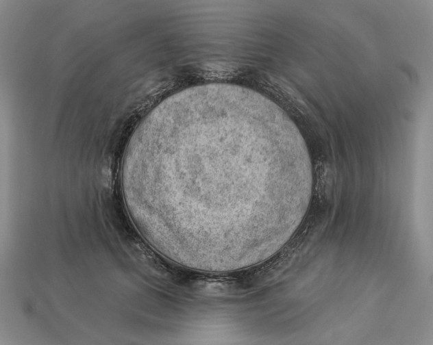 X0000112780655200909101613