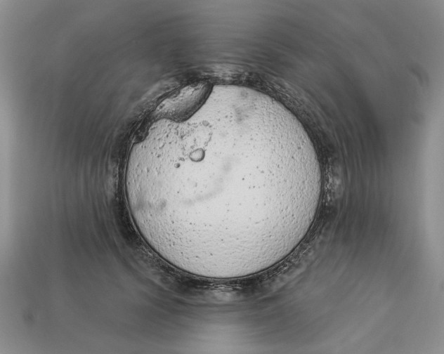 X0000112780656200909101613