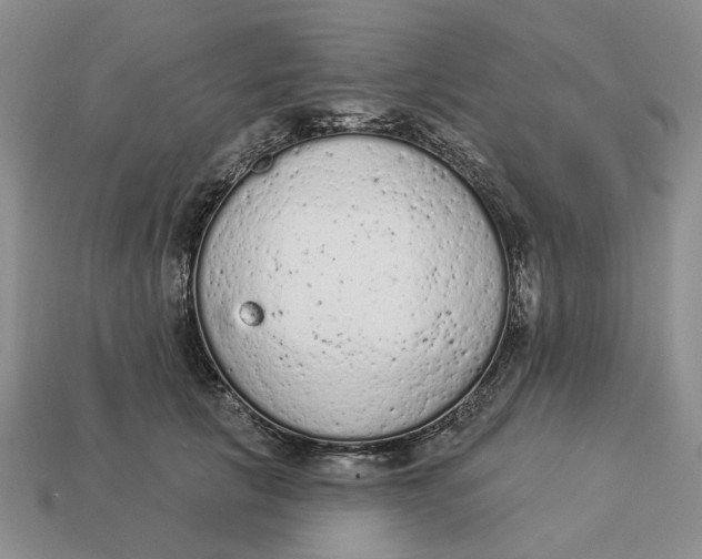 X0000112780657200909101613