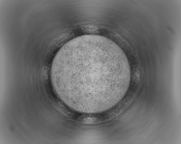 X0000112780658200909101613