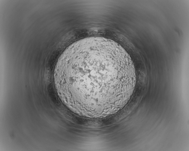 X0000112780659200909101613