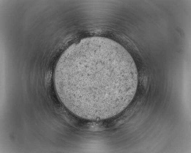 X0000112780660200909101613