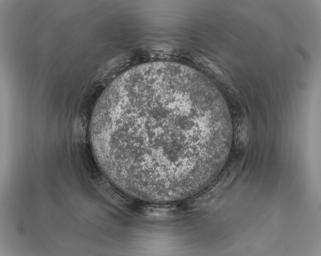 X0000112780661200909101613