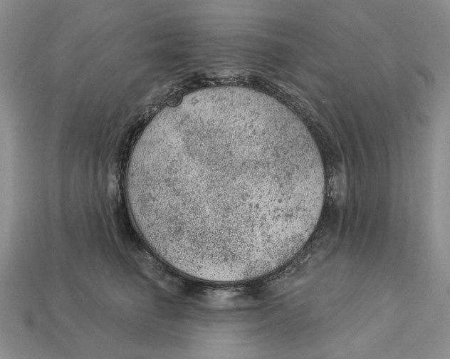 X0000112780662200909101613