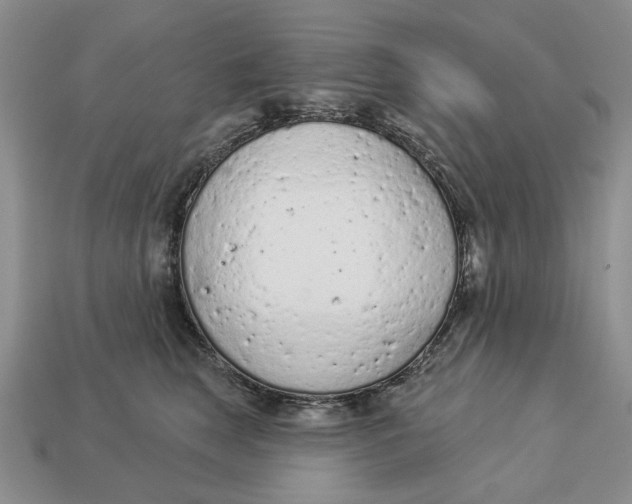 X0000112780663200909101613