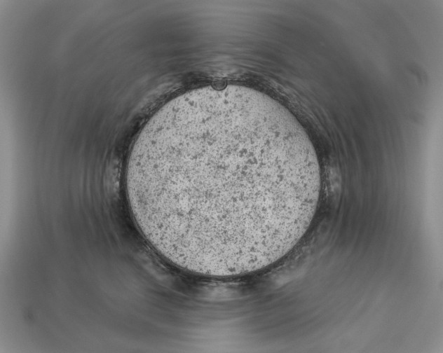 X0000112780664200909101613