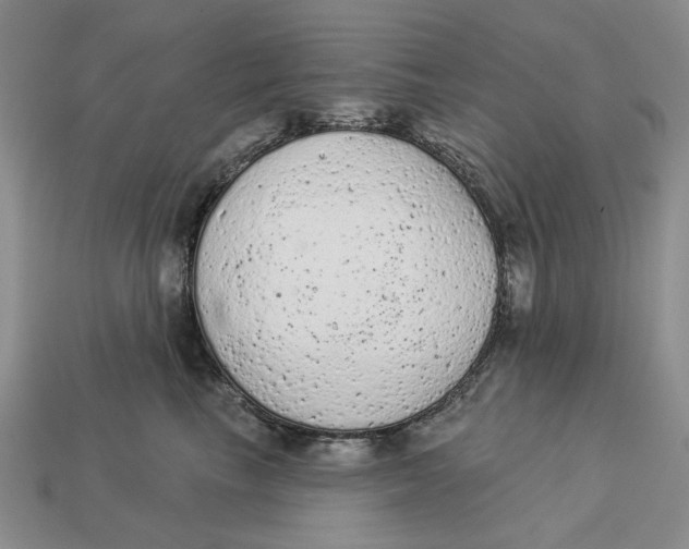 X0000112780665200909101613