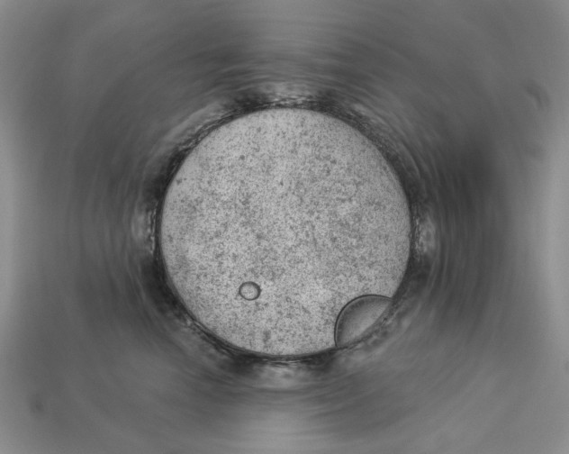 X0000112780666200909101613