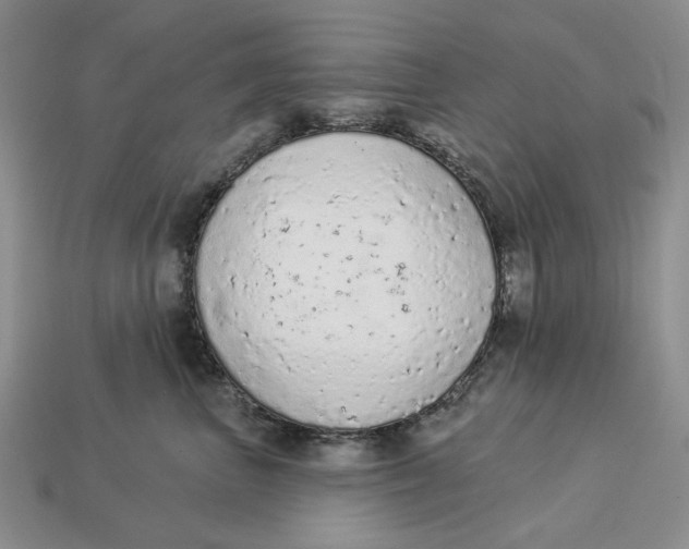 X0000112780667200909101613