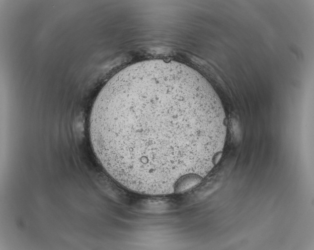 X0000112780668200909101613