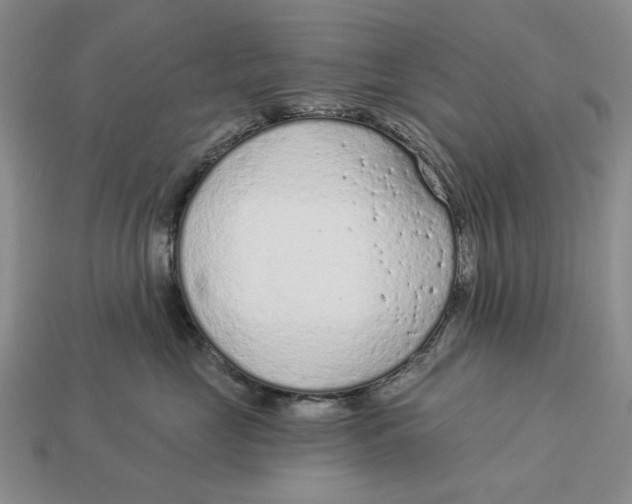 X0000112780669200909101613