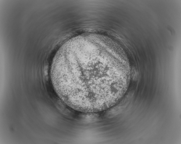 X0000112780670200909101613