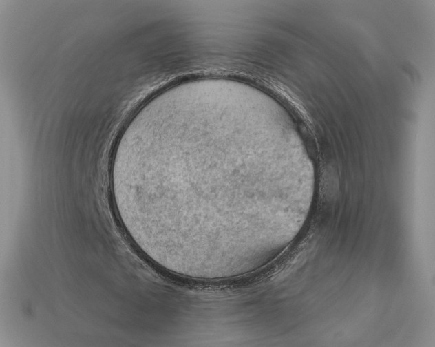 X0000112780673200909101613