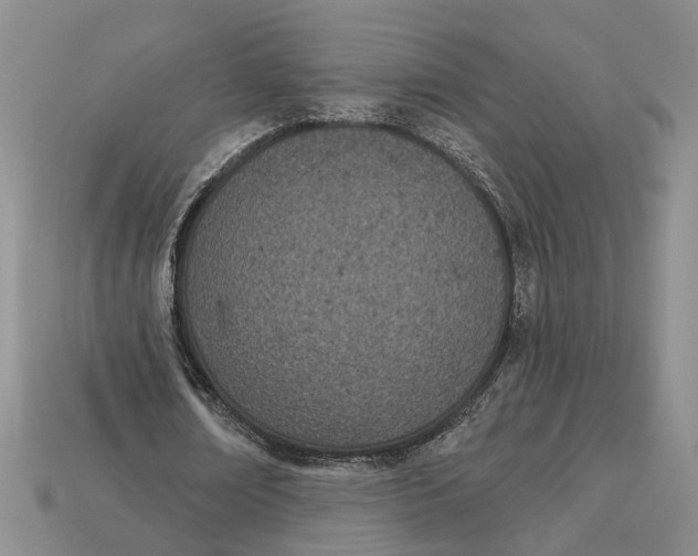 X0000112780674200909101613