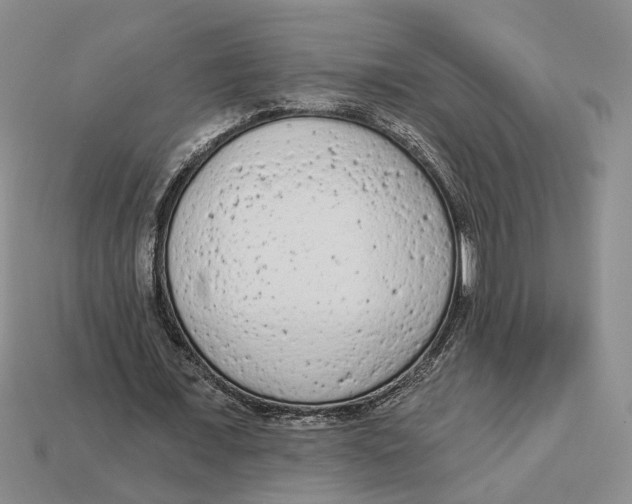 X0000112780675200909101613