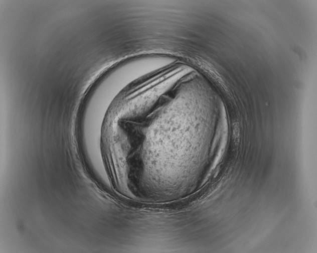 X0000112780676200909101613