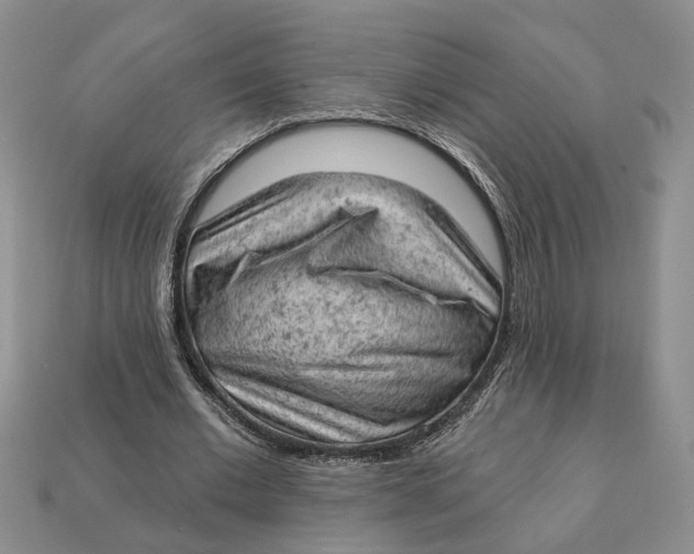 X0000112780677200909101613