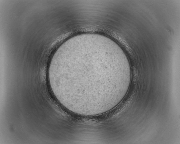 X0000112780681200909101613