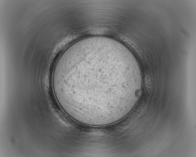 X0000112780682200909101613