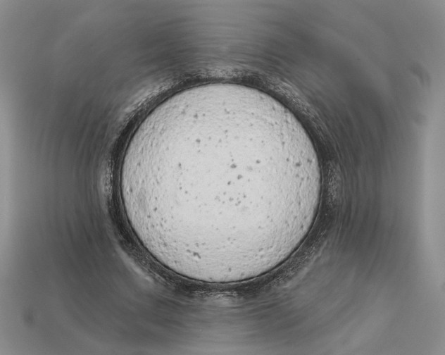 X0000112780683200909101613