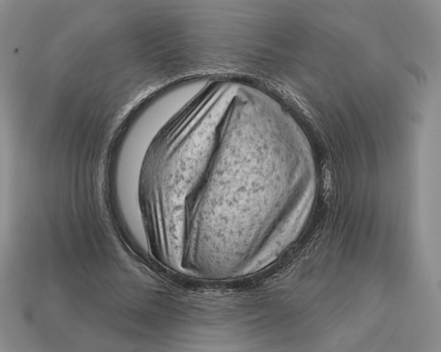 X0000112780684200909101613