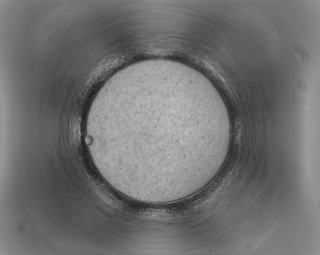 X0000112780685200909101613