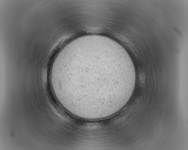 X0000112780686200909101613