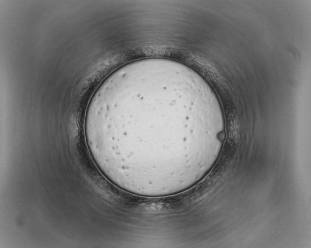 X0000112780687200909101613