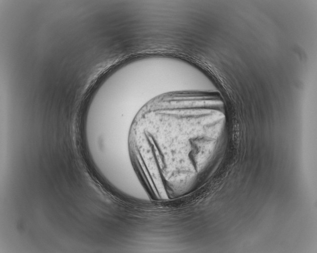 X0000112780688200909101613