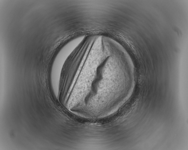 X0000112780689200909101613