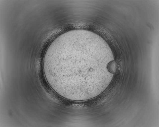 X0000112780690200909101613