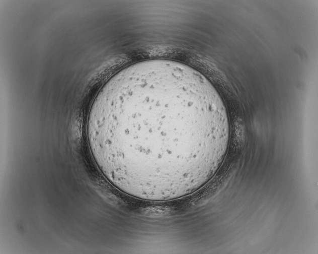 X0000112780691200909101613