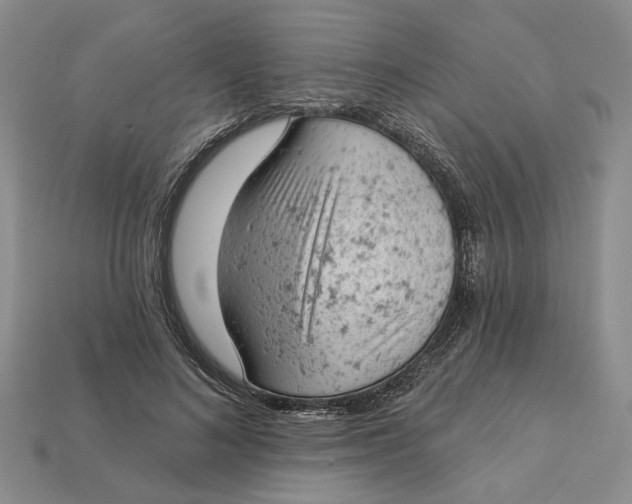 X0000112780692200909101613