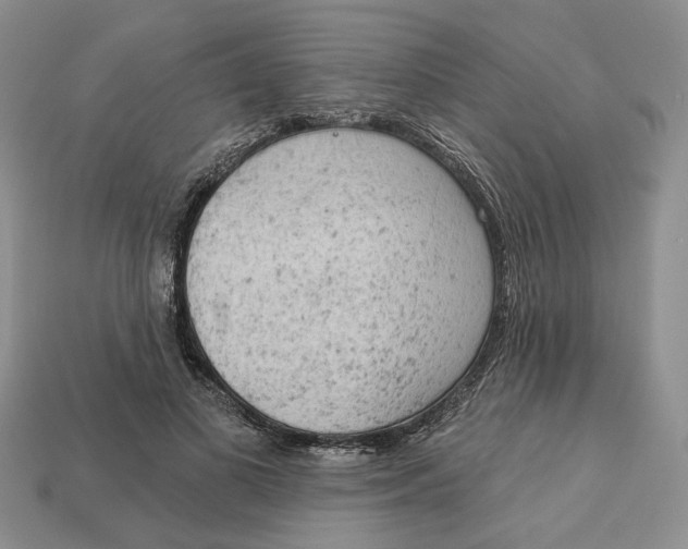 X0000112780693200909101613