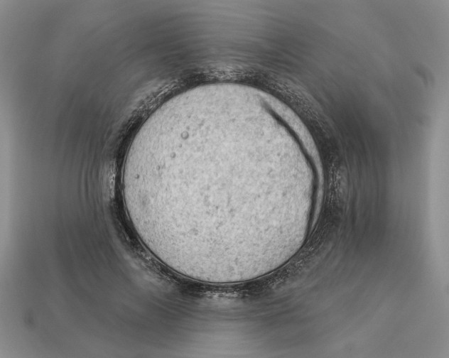 X0000112780694200909101613