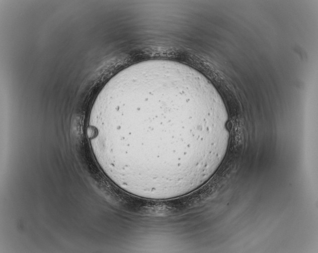 X0000112780695200909101613