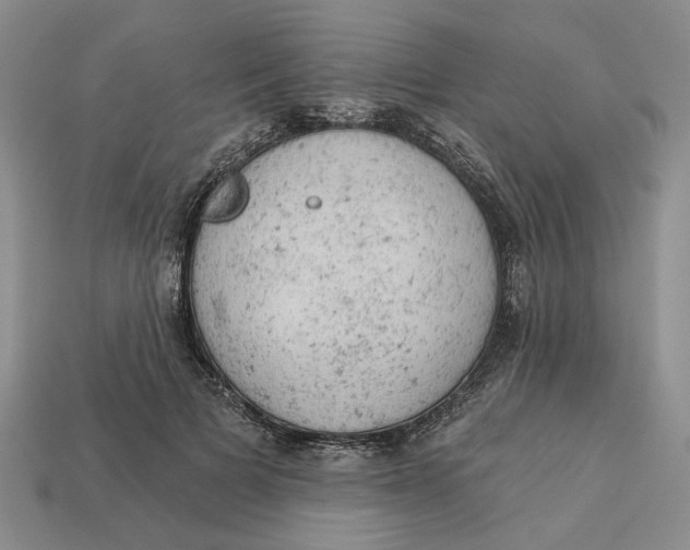 X0000112780697200909101613