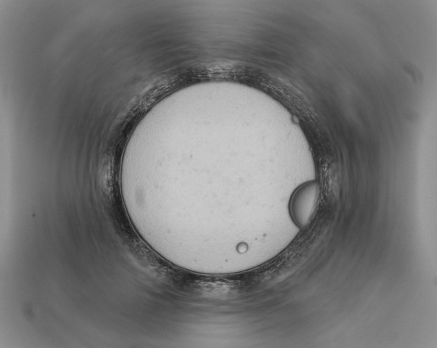 X0000112780698200909101613