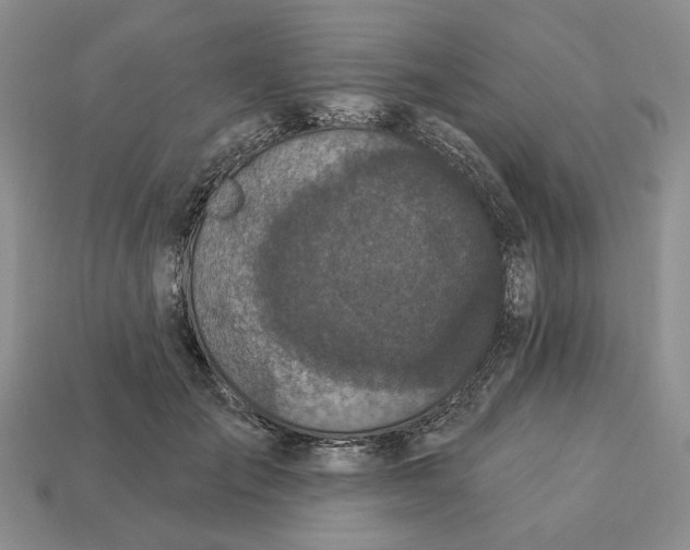 X0000112780701200909101613