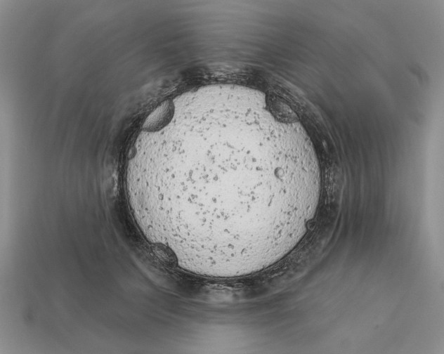 X0000112780703200909101612