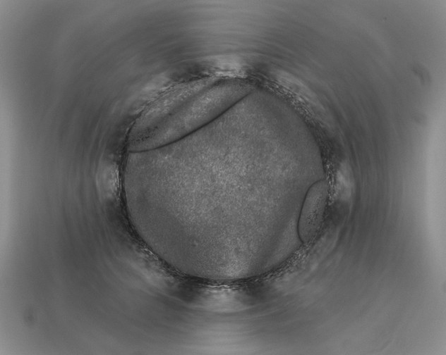 X0000112780704200909101612