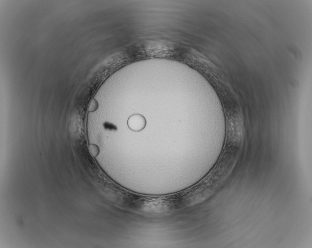 X0000112780705200909101612