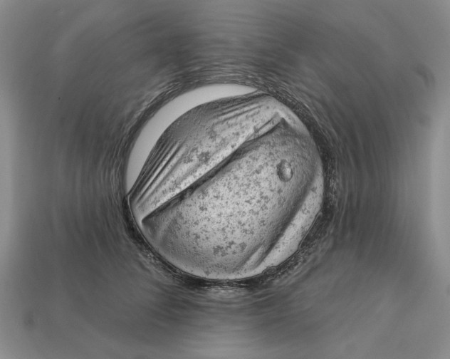 X0000112780708200909101612