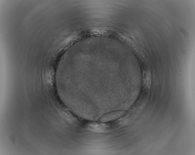 X0000112780712200909101612