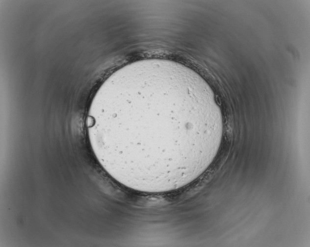 X0000112780715200909101612