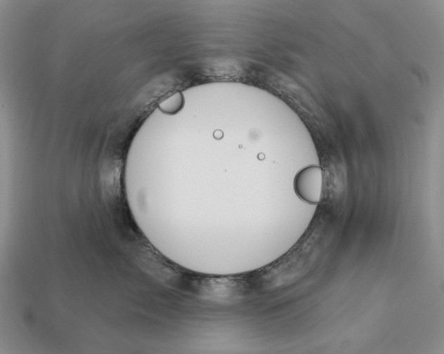 X0000112780717200909101612