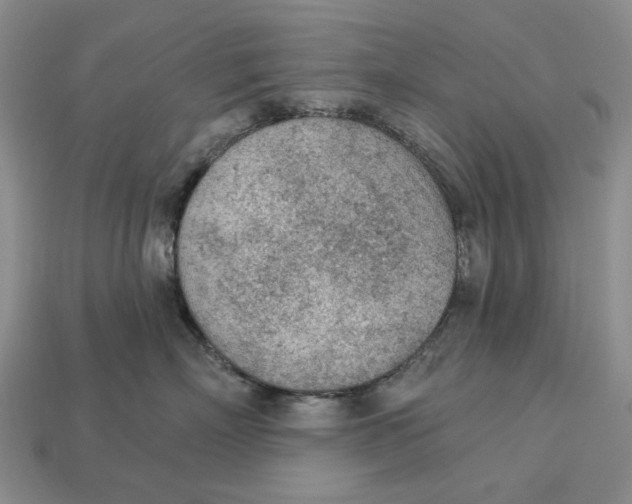 X0000112780718200909101612